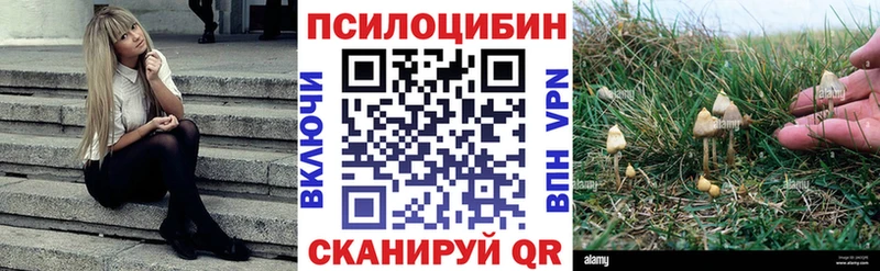 гидра зеркало  Белгород  Псилоцибиновые грибы MAGIC MUSHROOMS 